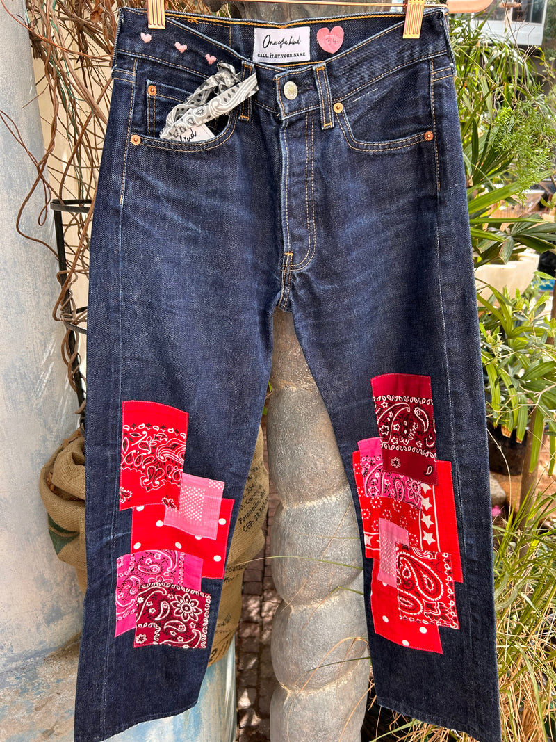 VINTAGE EMBROIDERED LEVI S 501 SIZE 24 CARAVANA